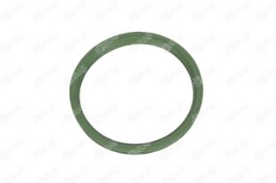 Ramzey, RMG Moto Gusto Velocity Egzoz Contası resmi