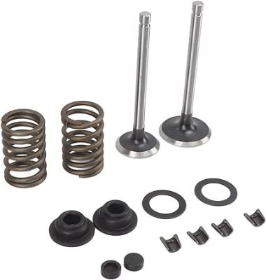 Asya Kedi Klasik, Lux AS100, AS125, AS150 Supap, Keçe, Yay ve Tırnak Takımı (150cc) resmi