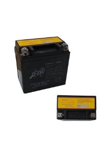 Honda CB 125 ACE Aküsü 12V 7Ah resmi