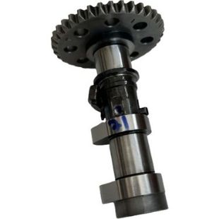 Bajaj Dominar D 250 Eksantrik Mili Egzoz resmi