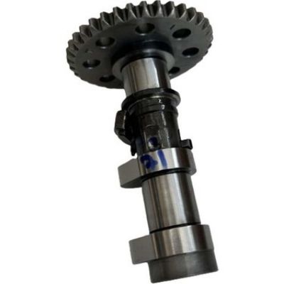 Bajaj Dominar D 250 Eksantrik Mili Egzoz resmi