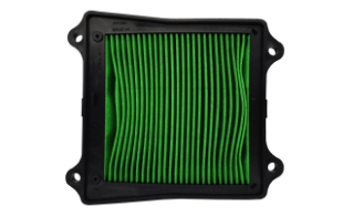 Bajaj Dominar D 250 Hava Filtre Elemanı resmi