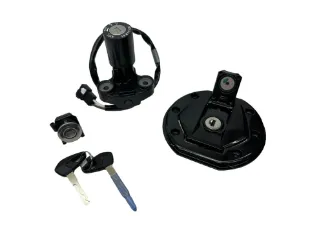 Bajaj Dominar D 250 Kontak Seti Komple resmi