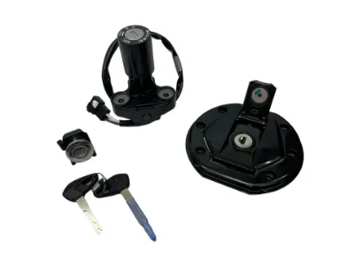 Bajaj Dominar D 250 Kontak Seti Komple resmi