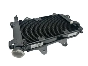 Bajaj Dominar D 250 Radyatör resmi