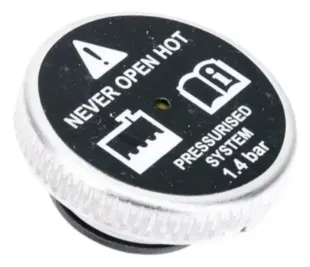 Bajaj Dominar D 250 Radyatör Kromajlı Kapağı resmi